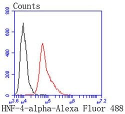 Invitrogen HNF4A Recombinant Rabbit Monoclonal Antibody (SN72-03) 100 &mu;L;