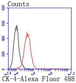 Invitrogen Cytokeratin 4 Recombinant Rabbit Monoclonal Antibody (SN74-03)