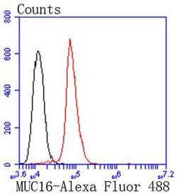 Invitrogen CA125 Recombinant Rabbit Monoclonal Antibody (SN0715) 100 &mu;L | Buy Online | Invitrogen&trade; | Fisher Scientific