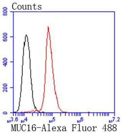 Invitrogen CA125 Recombinant Rabbit Monoclonal Antibody (SN69-06) 100 &mu;L | Buy Online | Invitrogen&trade; | Fisher Scientific