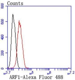 Invitrogen ARF1 Recombinant Rabbit Monoclonal Antibody (SD2002) 100 &mu;L;