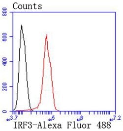 Invitrogen IRF3 Recombinant Rabbit Monoclonal Antibody (SD2062) 100 &mu;L;