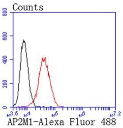 Invitrogen AP2M1 Recombinant Rabbit Monoclonal Antibody (SD0746) 100 &mu;L;
