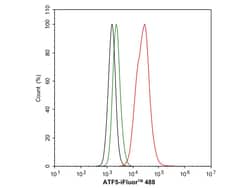 Invitrogen ATF5 Recombinant Rabbit Monoclonal Antibody (SD2099) 100 &mu;L;