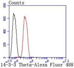 Invitrogen 14-3-3 theta Recombinant Rabbit Monoclonal Antibody (SD084-02) 100 &mu;L | Buy Online | Invitrogen&trade; | Fisher Scientific