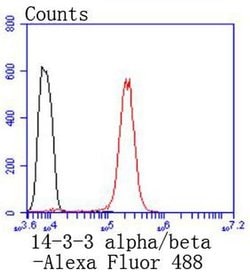 Invitrogen 14-3-3 beta Recombinant Rabbit Monoclonal Antibody (SD0837)
