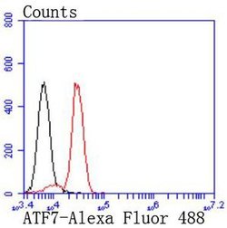Invitrogen ATF7 Recombinant Rabbit Monoclonal Antibody (JJ2-072) 100 &mu;L;