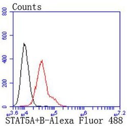 Invitrogen STAT5 alpha/beta Recombinant Rabbit Monoclonal Antibody (JJ08-78) 100 &mu;L | Buy Online | Invitrogen&trade; | Fisher Scientific