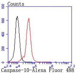 Invitrogen Caspase 10 Recombinant Rabbit Monoclonal Antibody (JJ0890) 100