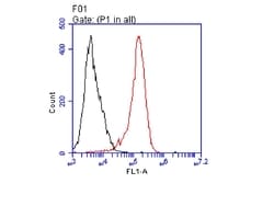 Invitrogen CD3d Recombinant Rabbit Monoclonal Antibody (JJ08-97) 100 &mu;L;