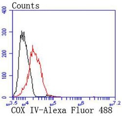 Invitrogen COX4 Recombinant Rabbit Monoclonal Antibody (JJ09-05) 100 &mu;L;