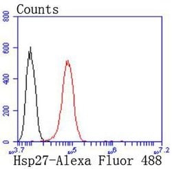 Invitrogen HSP27 Recombinant Rabbit Monoclonal Antibody (JJ09-13) 100 &mu;L;