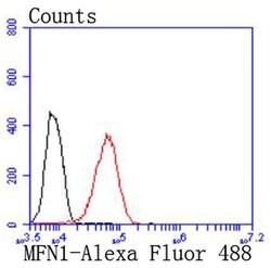 Invitrogen MFN1 Recombinant Rabbit Monoclonal Antibody (JF0954) 100 &mu;L;