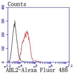 Invitrogen Abl2 Recombinant Rabbit Monoclonal Antibody (JF0951) 100 &mu;L;