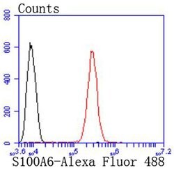 Invitrogen S100A6 Recombinant Rabbit Monoclonal Antibody (JF0976) 100 &mu;L;
