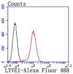 Invitrogen LYVE1 Recombinant Rabbit Monoclonal Antibody (JF0979) 100 &mu;L;