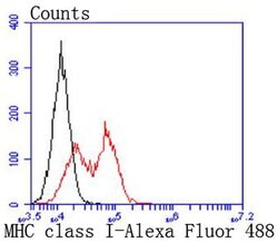 Invitrogen HLA-AB Recombinant Rabbit Monoclonal Antibody (JF10-38) 100 &mu;L | Buy Online | Invitrogen&trade; | Fisher Scientific