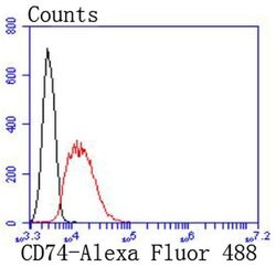 Invitrogen CD74 Recombinant Rabbit Monoclonal Antibody (JF40-10) 100 &mu;L;