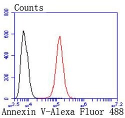 Invitrogen Annexin V Recombinant Rabbit Monoclonal Antibody (JF50-11) 100