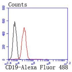 Invitrogen CD19 Recombinant Rabbit Monoclonal Antibody (JF099-9) 100 &mu;L;
