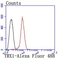 Invitrogen Thioredoxin 1 Recombinant Rabbit Monoclonal Antibody (JF101-8) 100 &mu;L | Buy Online | Invitrogen&trade; | Fisher Scientific
