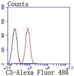 Invitrogen Complement C3 Recombinant Rabbit Monoclonal Antibody (JF10-30)