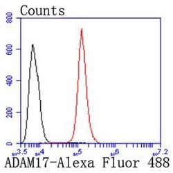 Invitrogen ADAM17 Recombinant Rabbit Monoclonal Antibody (JM10-35) 100