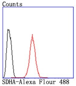 Invitrogen SDHA Recombinant Rabbit Monoclonal Antibody (JM10-83) 100 &mu;L;