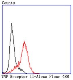 Invitrogen TNFR2 Recombinant Rabbit Monoclonal Antibody (JM113-01) 100