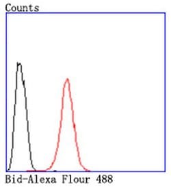 Invitrogen BID Recombinant Rabbit Monoclonal Antibody (JM11-14) 100 &mu;L;