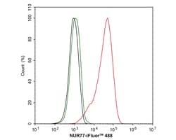Invitrogen NUR77 Recombinant Rabbit Monoclonal Antibody (JM59-11) 100 &mu;L;