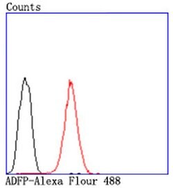 Invitrogen ADFP Recombinant Rabbit Monoclonal Antibody (JA31-81) 100 &mu;L;