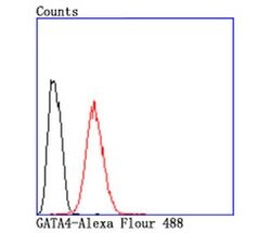 Invitrogen Gata-4 Recombinant Rabbit Monoclonal Antibody (JA11-41) 100