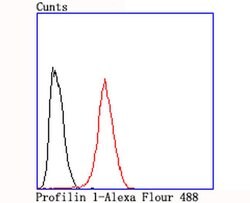 Invitrogen Profilin 1 Recombinant Rabbit Monoclonal Antibody (JA30-13)