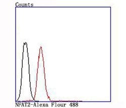 NFATC1 Recombinant Rabbit Monoclonal Antibody (JA81-03), Invitrogen 100