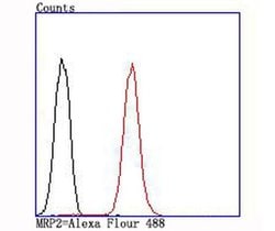 Invitrogen MRP2 Recombinant Rabbit Monoclonal Antibody (JA32-01) 100 &mu;L;