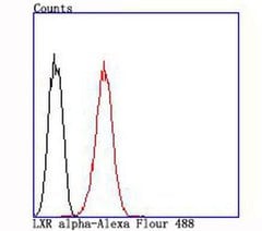 Invitrogen LXR alpha Recombinant Rabbit Monoclonal Antibody (JA20-38) 100
