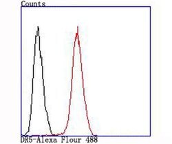 Invitrogen TRAIL-R2 (DR5) Recombinant Rabbit Monoclonal Antibody (JA03-38)