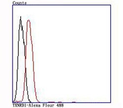 Invitrogen TrxR1 Recombinant Rabbit Monoclonal Antibody (JA11-32) 100 &mu;L;