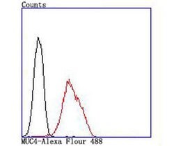 Invitrogen MUC4 Recombinant Rabbit Monoclonal Antibody (JM19-36) 100 &mu;L;