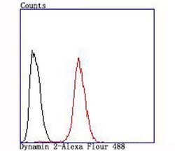 Invitrogen Dynamin 2 Recombinant Rabbit Monoclonal Antibody (JM61-38) 100