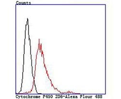 Invitrogen CYP2D6 Recombinant Rabbit Monoclonal Antibody (JM44-23) 100