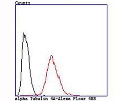 Invitrogen TUBA4A Recombinant Rabbit Monoclonal Antibody (JM73-24) 100