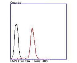 Invitrogen USP11 Recombinant Rabbit Monoclonal Antibody (JM33-62) 100 &mu;L;
