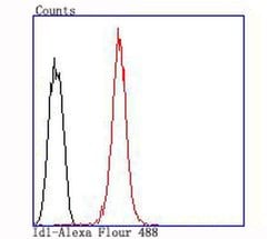 Invitrogen ID1 Recombinant Rabbit Monoclonal Antibody (JM92-13) 100 &mu;L;