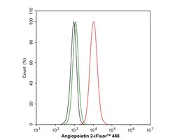 Invitrogen Angiopoietin 2 Recombinant Rabbit Monoclonal Antibody (JM71-34)