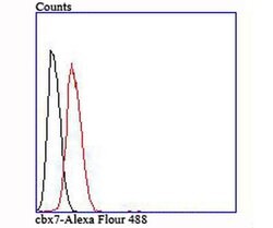 Invitrogen CBX7 Recombinant Rabbit Monoclonal Antibody (JM44-63) 100 &mu;L;