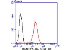 Invitrogen STING Recombinant Rabbit Monoclonal Antibody (JM03-47) 100 &mu;L;