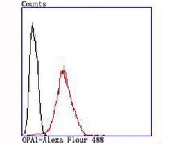 Invitrogen OPA1 Recombinant Rabbit Monoclonal Antibody (JM81-35) 100 &mu;L | Buy Online | Invitrogen&trade; | Fisher Scientific