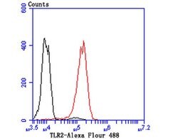 Invitrogen TLR2 Recombinant Rabbit Monoclonal Antibody (JM22-41) 100 &mu;L | Buy Online | Invitrogen&trade; | Fisher Scientific